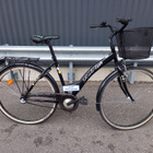 [T3209] Raleigh Donna - pikkukuva 1