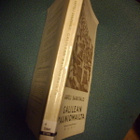 Aapeli Saarisalo: Galilean rauniomailta (1927) Sis.postikulu - pikkukuva 2