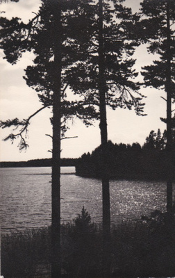 SKY LEIRIKYLÄ TEINIHARJU - MV