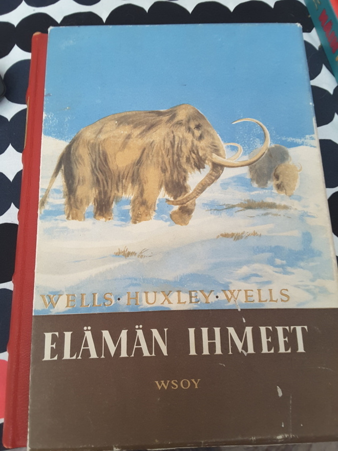 Wsoy Elämän ihmeet