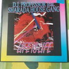 D.J. Professor - Life Is Life - pikkukuva 1