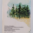 Erkki Tuominen : Hanhenlaulu - pikkukuva 2
