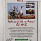 Suomen luonto 1/1992 - pikkukuva 2