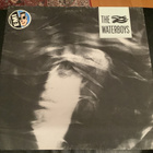 The WATERBOYS - The Waterboys - pikkukuva 1