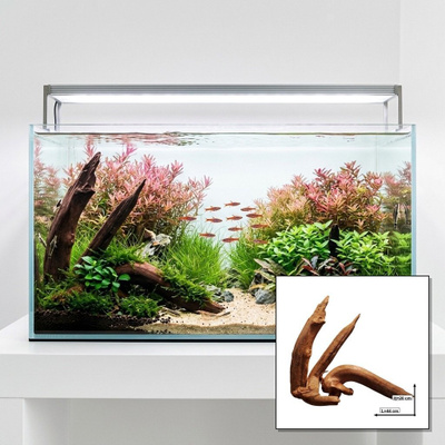 Uniikki akvaariojuurakko 44 cm | S3172622