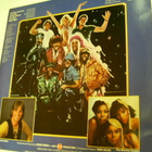VILLAGE PEOPLE : CAN'T STOP THE MUSIC  (LP-LEVY) - pikkukuva 2
