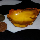 Vintage Honey egge amber Meripihka solki rintanula - pikkukuva 4