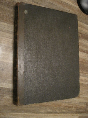 Svenska Familj-Journalen 1876