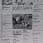 Kotiliesi No 18 syyskuu 1982 - pikkukuva 2