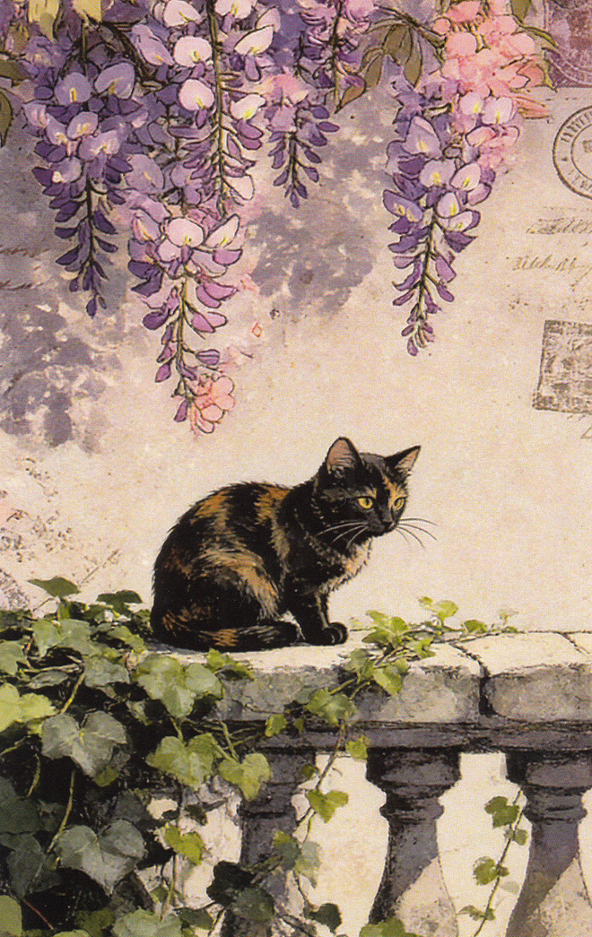 Kissa istuu kaiteella, wisterian kukat