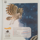 Sieppo 1/2006 - lasten luontolehti - pikkukuva 2