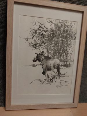 " Hirvisonni " Seppo Polameri
