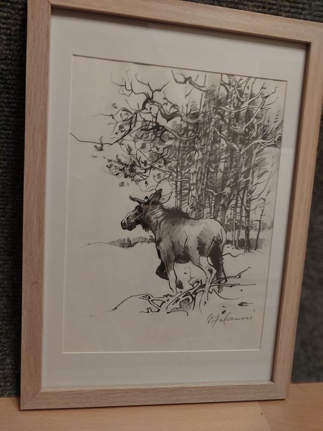 " Hirvisonni " Seppo Polameri