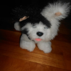 Furreal friends mustavalkoinen koiranpentu (#2988) - pikkukuva 2