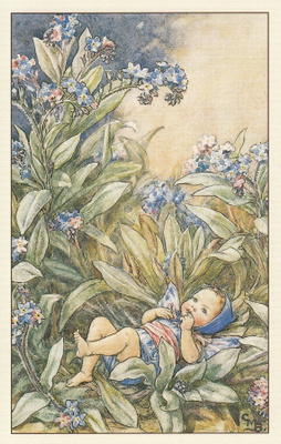 Cicely Mary Barker: Kukkakeijut lemmikki