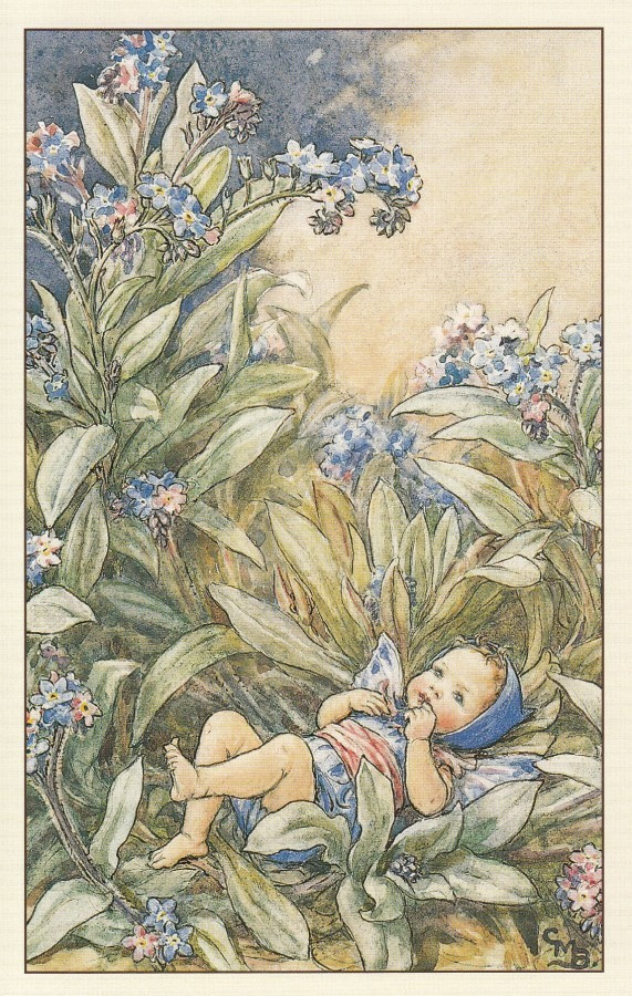 Cicely Mary Barker: Kukkakeijut lemmikki