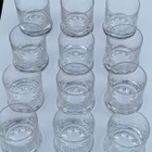 IITTALA HELMINAUHA-viskilasit 12kpl, TIMO SARPANEVA - pikkukuva 3