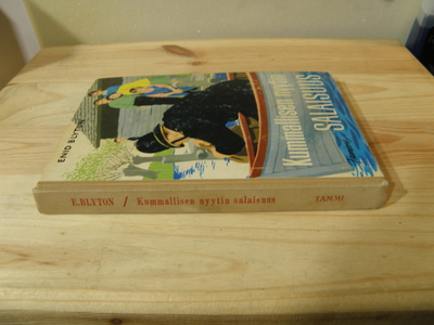 Enid Blyton Kummallisen nyytin salaisuus