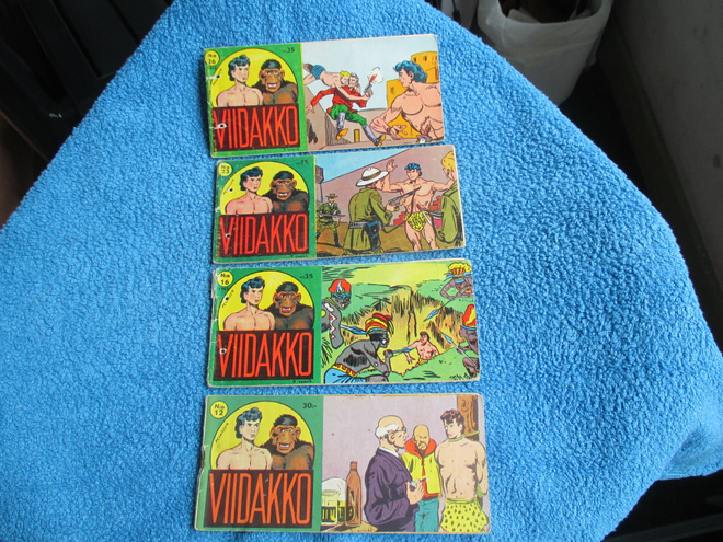 4 kpl Viidakko liuskalehdet