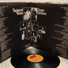 Dianne Davidson Backwoods Woman lp - pikkukuva 3