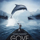 The Cove - DVD - pikkukuva 1