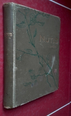 Nutid (1891) En samling dikter och berättelser