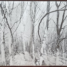 AGALLOCH - THE WHITE EP - DELUXE SMOKE LP - pikkukuva 3