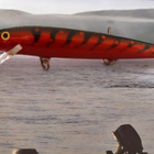Rapala husky 13 Finland Special - pikkukuva 2