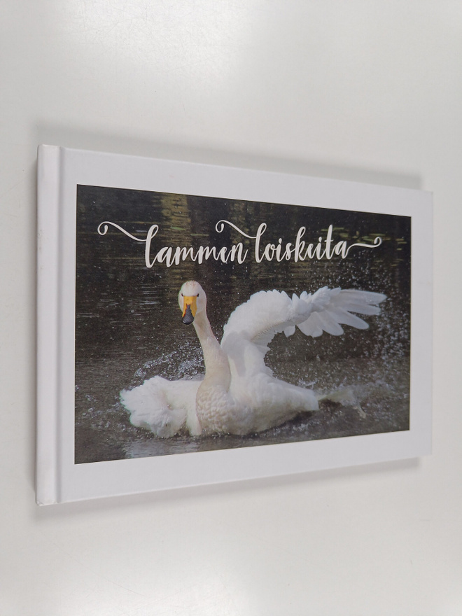 Oili Suutarinen : Lammen loiskeita