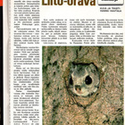 ME n:o 22 1975 Hyökkäyssuuntana Leningrad. Liito-orava - pikkukuva 3
