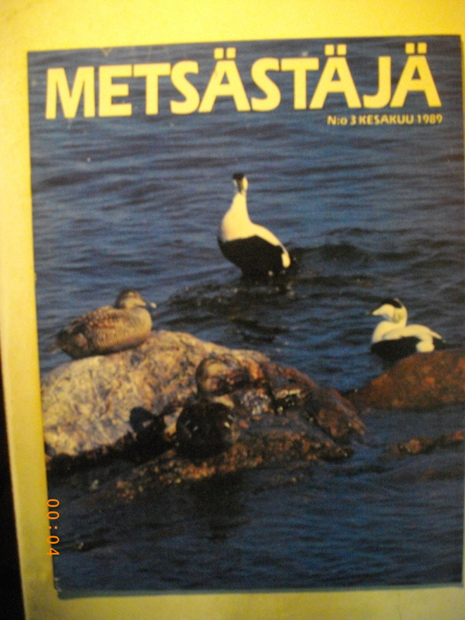 Metsästäjä Nro 3/1989