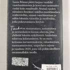 Laura Friman : Tauko : jolloin luovuin vaateostoksista vu... - pikkukuva 2