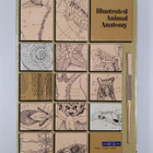 Illustrated Animal Anatomy - prepared by The Biological S... - pikkukuva 2