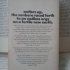 Philip Jose Farmer - Flesh (paperback) - pikkukuva 2