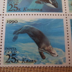 CCCP 1990: merinisäkkäitä blokki - pikkukuva 5