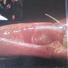 Ohio Players - Honey (LP, 1975, Gatefold, USA-painos) - pikkukuva 3