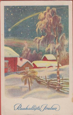 Olavi Vikainen Tähden lento