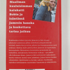 James Bowen : Bobin maailma - pikkukuva 2