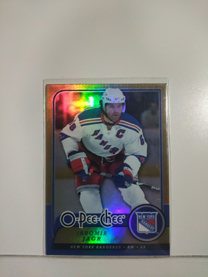 2008-09 O-Pee-Chee - Gold #119 Jaromir Jagr