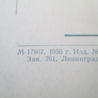 CCCP: kolme vintage postikorttia - eläinaihe - pikkukuva 5