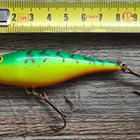 Rapala shad rap shallow! - pikkukuva 1