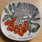 Arabian seinälautanen "Pihlaja", design Esteri Tomula. - pikkukuva 1