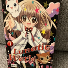 LUNATIC WORLD 1 - pikkukuva 1