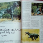 Hundsport 4&6-93; Raser, berättelser mm - pikkukuva 2