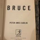 Carlin: Bruce Springsteen. 2012. - pikkukuva 3