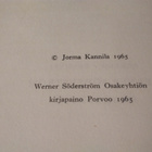 JORMA KANNILA: HAUKINIEMESSÄ - pikkukuva 2