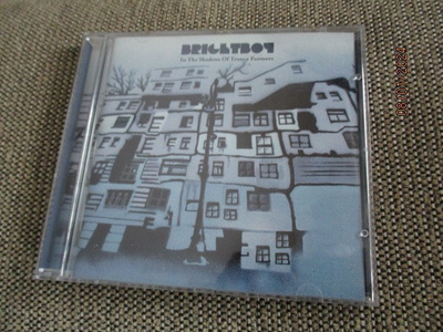 Brightboy IN THE SHADOWS OF TRANCE FORMERS (CD)