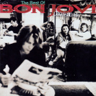 Bon Jovi : Crossroad - The Best Of - CD - pikkukuva 1