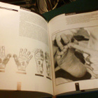 Joseph Corvo: UUSI VYÖHYKETRAPIA (4.p.1992) Sis.postikulut - pikkukuva 2