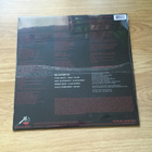 Slayer - Haunting The Chapel LP (Red / White Melt Vinyl) - pikkukuva 3
